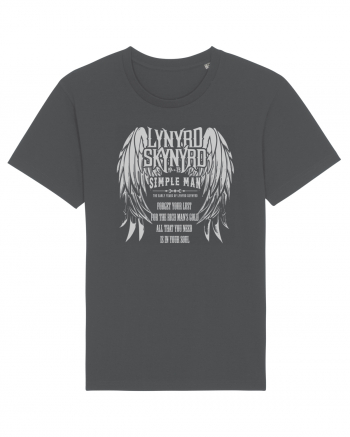 All you need is your soul - Lynyrd Skynyrd 2 Anthracite