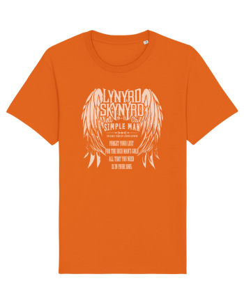 All you need is your soul - Lynyrd Skynyrd 2 Bright Orange