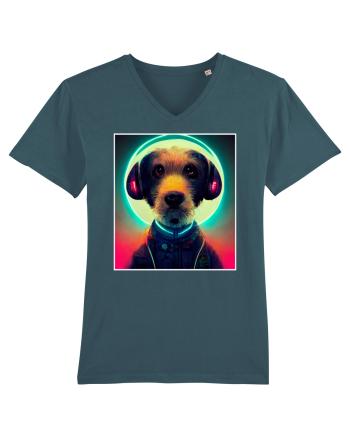 cute dog dj Stargazer