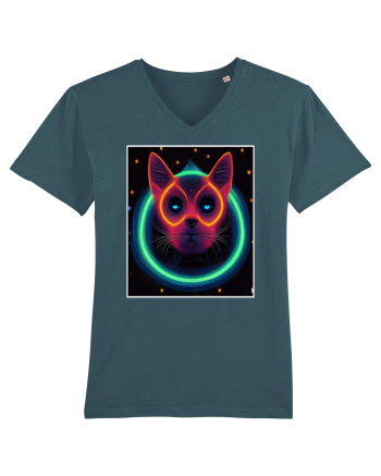 disco cat Stargazer