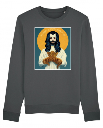 jesus cu pisici Anthracite
