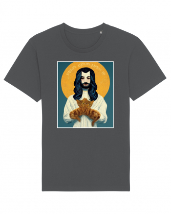 jesus cu pisici Anthracite