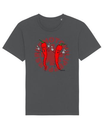 RED HOT ARDEI IUTI - ARDEI IUTI ROCKERI 2 Anthracite