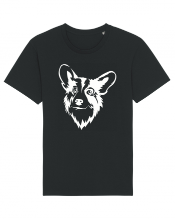 Corgi  Black