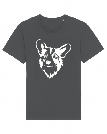 Corgi  Anthracite