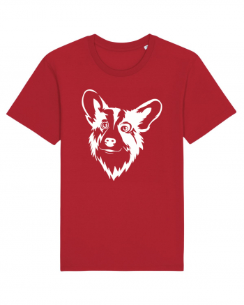 Corgi  Red