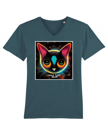 dance cat Stargazer