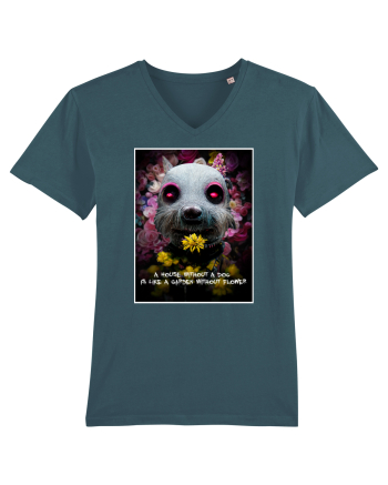 dog in garden Stargazer