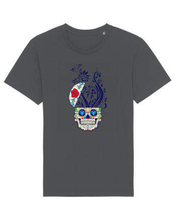 Mexican Skull Anthracite