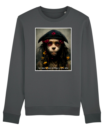 monkey as jack sparow  Anthracite