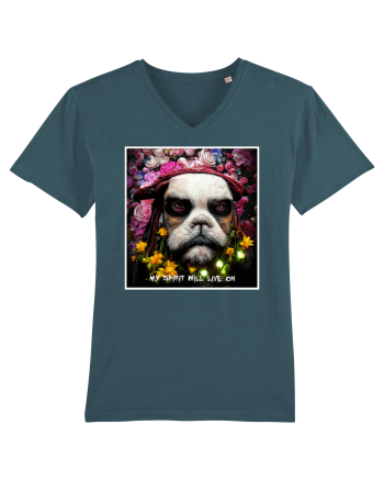 jack sparow as dog Stargazer