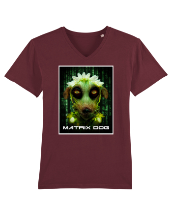 matrix dog Burgundy