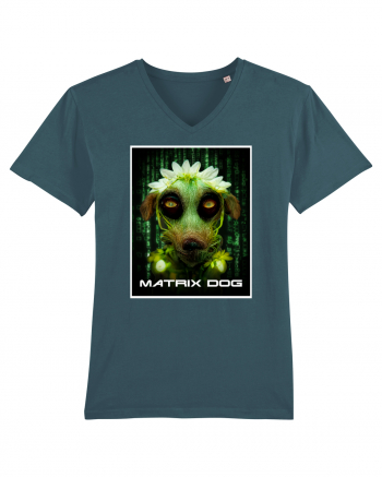 matrix dog Stargazer