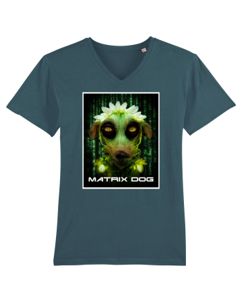 matrix dog Stargazer