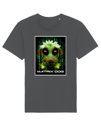 matrix dog Anthracite
