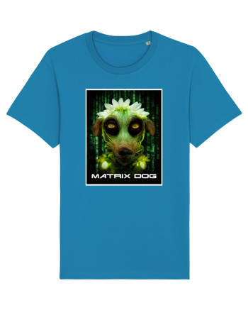 matrix dog Azur