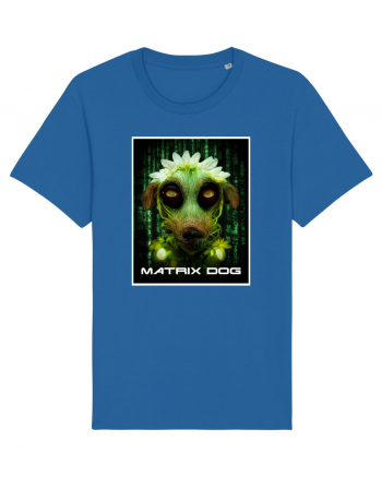 matrix dog Royal Blue