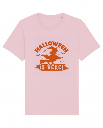 Halloween is here! Cotton Pink