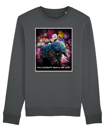 elefant  Anthracite