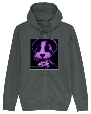purple dog Anthracite