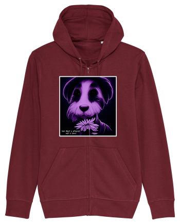 purple dog Burgundy