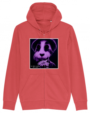 purple dog Carmine Red