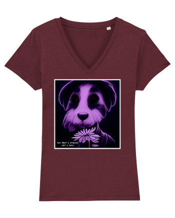 purple dog Burgundy