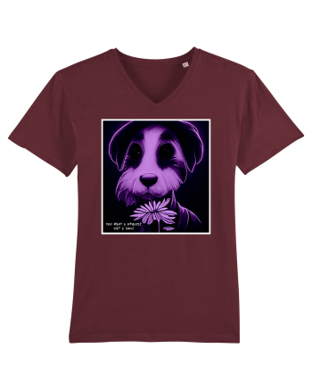 purple dog Burgundy