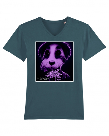 purple dog Stargazer