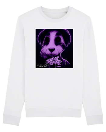 purple dog White
