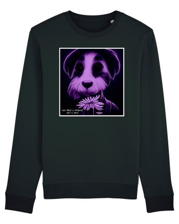 purple dog Black