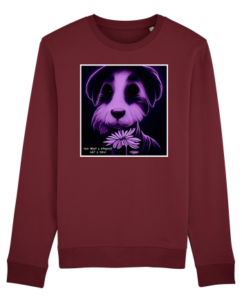 purple dog Burgundy