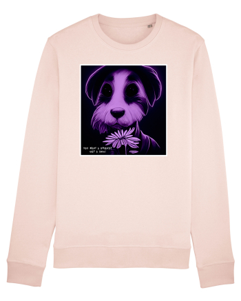 purple dog Candy Pink