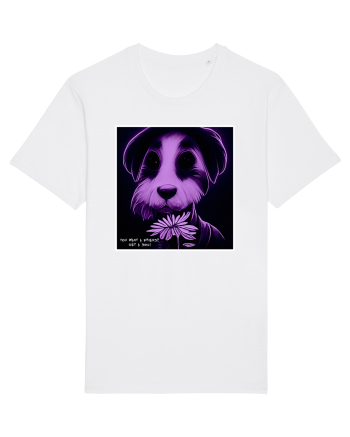 purple dog White