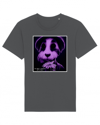 purple dog Anthracite