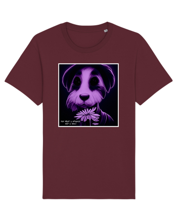 purple dog Burgundy