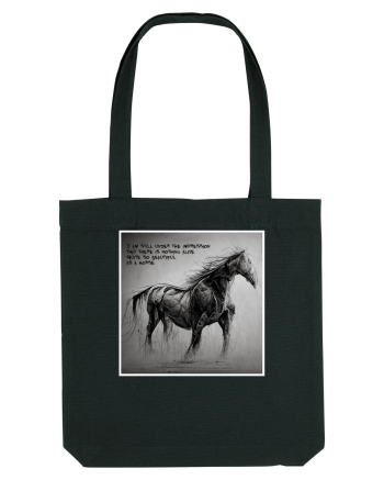 beautiful horse Black