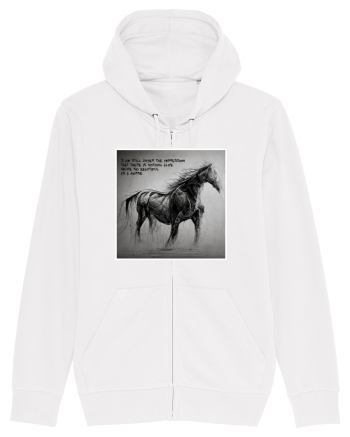 beautiful horse White