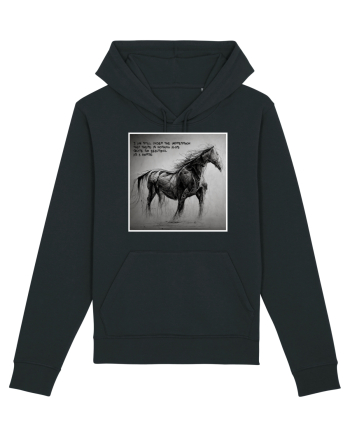beautiful horse Black