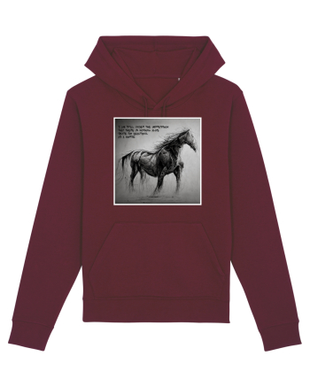 beautiful horse Burgundy