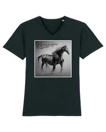 beautiful horse Black