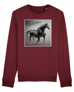 beautiful horse Bluză mânecă lungă Unisex Rise