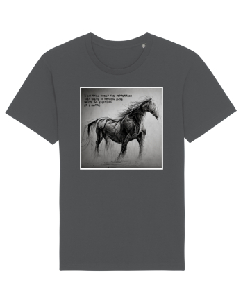 beautiful horse Anthracite