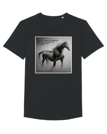 beautiful horse Black