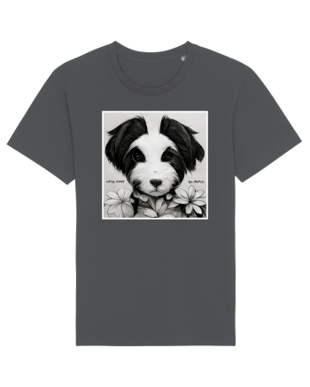 little puppy Anthracite