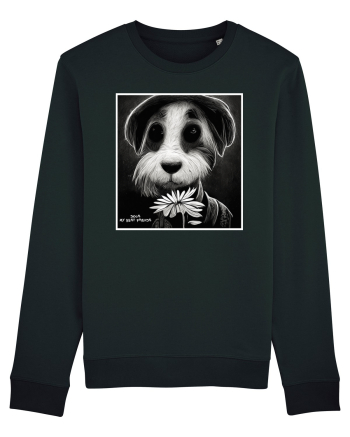 dogs best friends Black