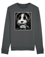 dogs best friends Bluză mânecă lungă Unisex Rise