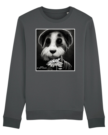 dogs best friends Anthracite