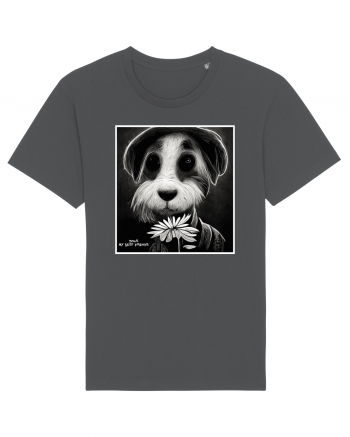 dogs best friends Anthracite