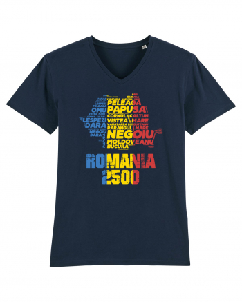 Pentru montaniarzi - Romania 2500 - 13 Varfuri cucerite II French Navy